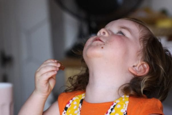 phoebe eating a strawberry oatmeal breakfast cookie