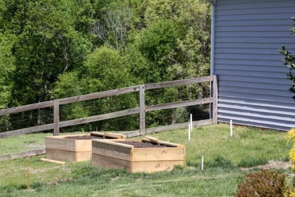 raised garden beds in the making