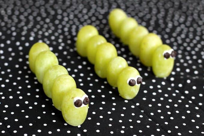 grape caterpillars foodlets