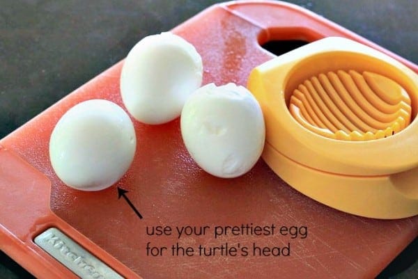 use pretty egg for turtle head