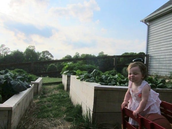 violet gardening buddy