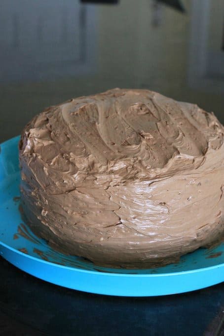 chocolate layer cake frosted, foodlets