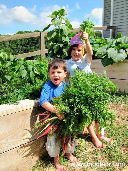 george and phoebe with carrots