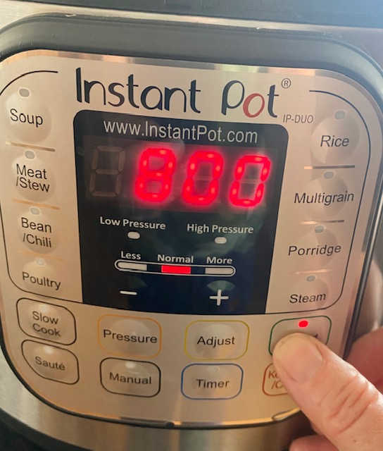 How to Make Instant Pot Yogurt (Without a Thermometer!) - Nutrimental